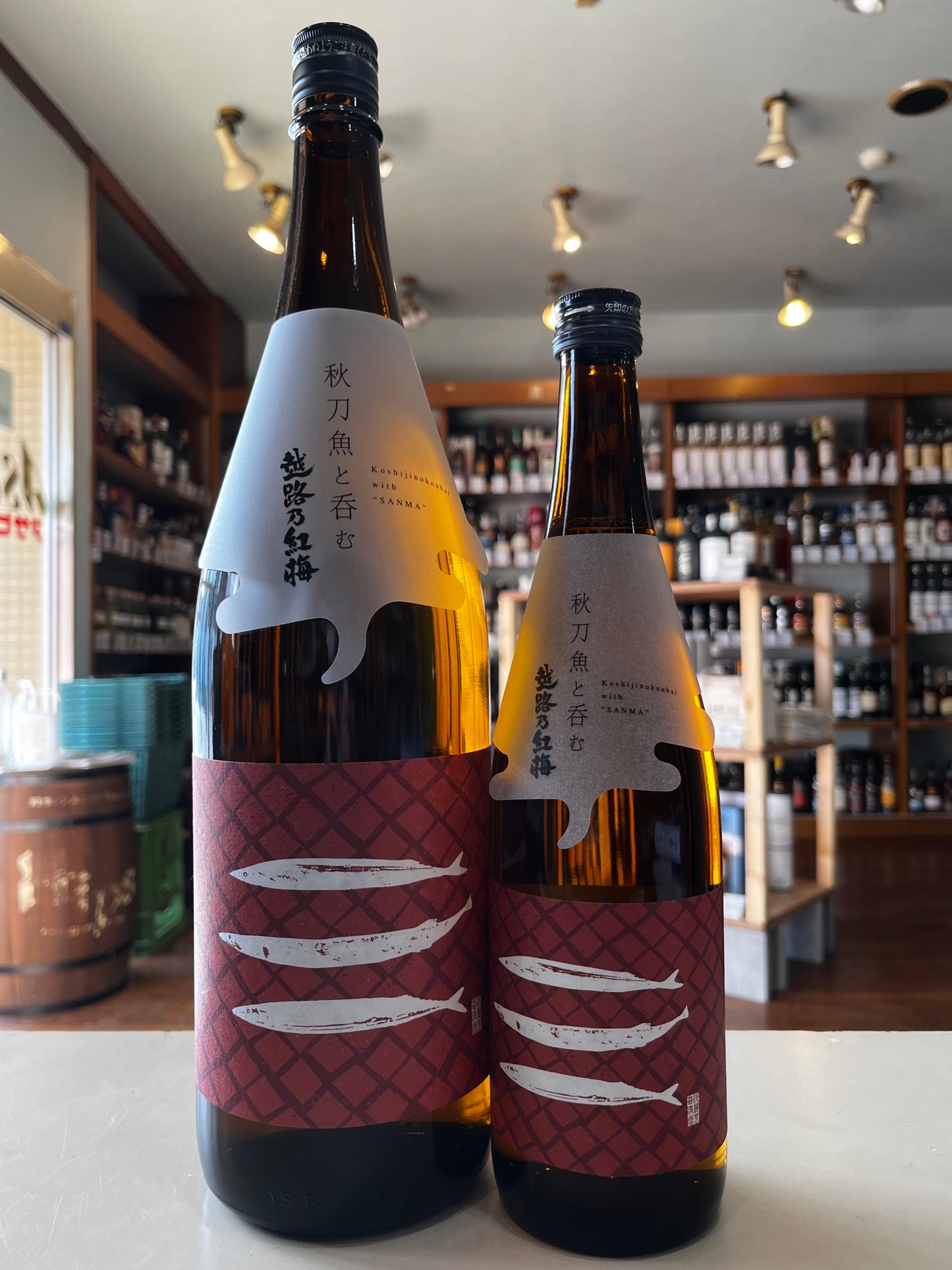 秋刀魚と呑む越路乃紅梅 無濾過純米原酒