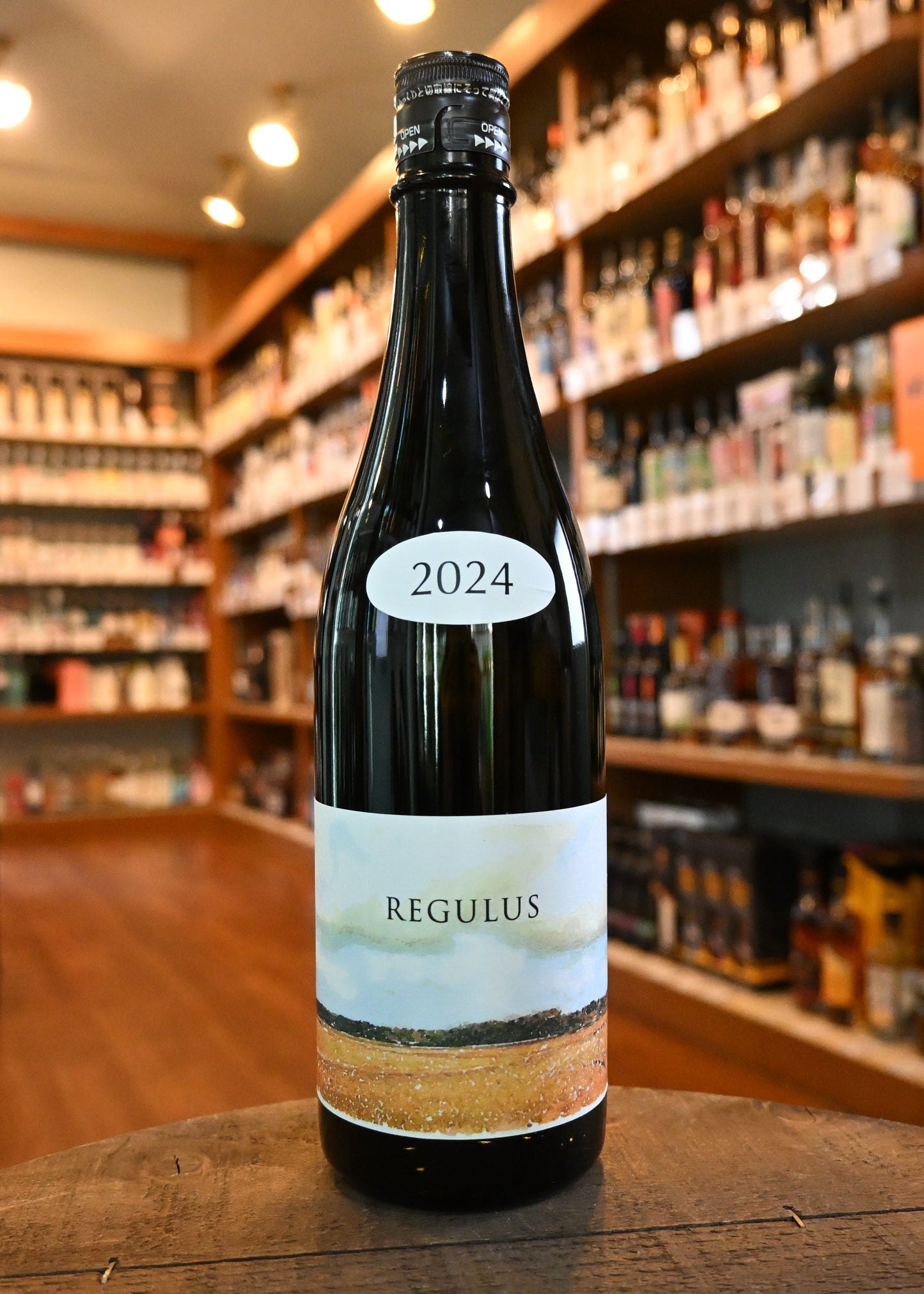 あべ REGULUS 2024 vol.3-1 , 3-2