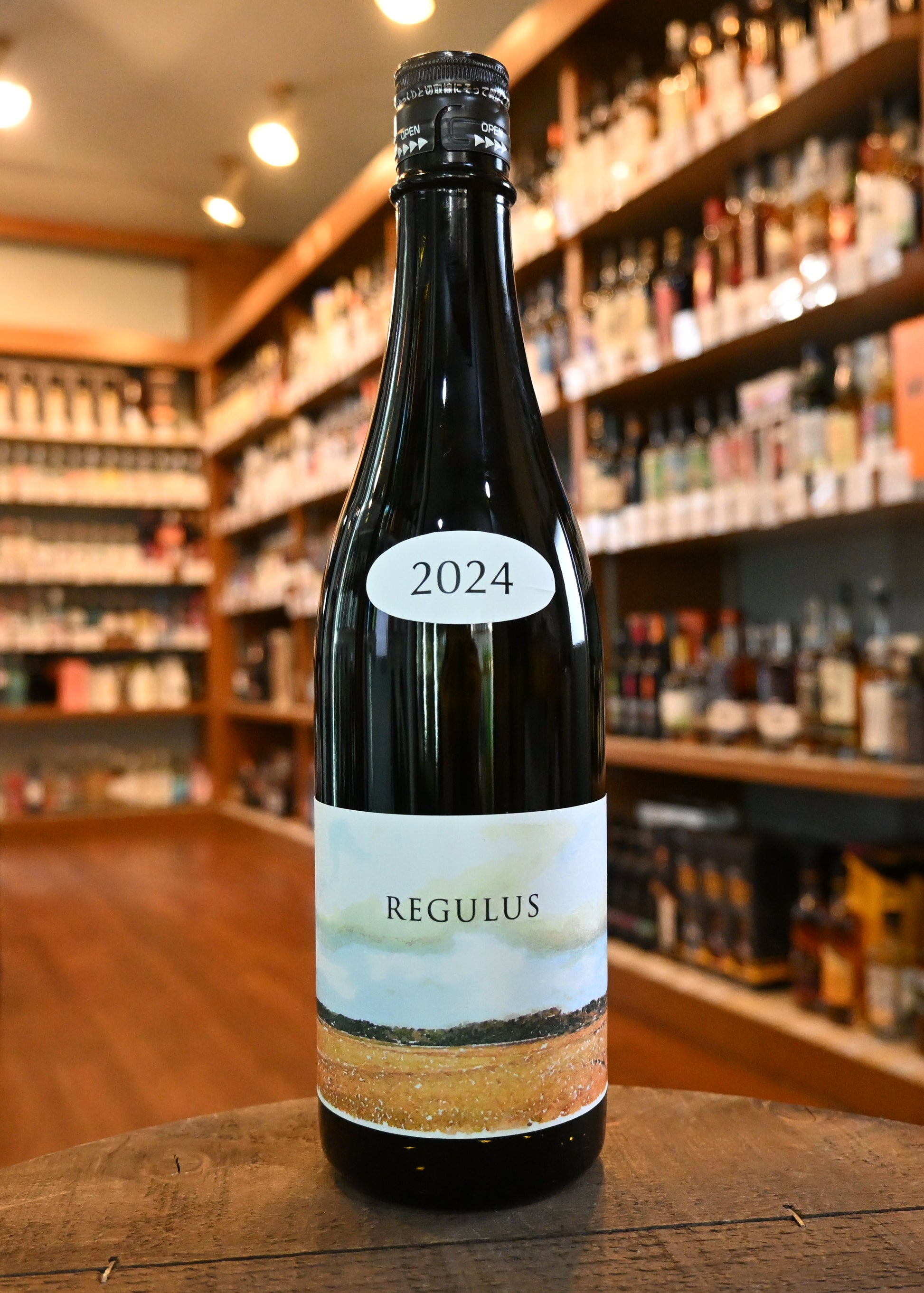 あべ　REGULUS 2024　vol.3-1 , 3-2